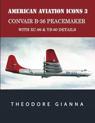 American Aviation Icons 3