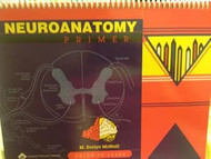 Neuroanatomy Primer