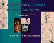 Cross-Sectional Human Anatomy