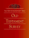 The New Interpreter's Bible Old Testament Survey