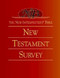 The New Interpreter's Bible New Testament Survey