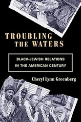 Troubling the Waters