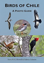 Birds of Chile: A Photo Guide