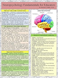 Neuropsychology Fundamentals for Educators