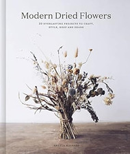 Modern Dried Flowers