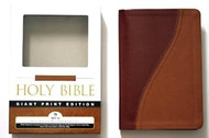 Bib Ncv Giant Print Reference