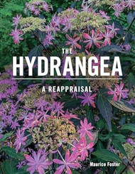 The Hydrangea: A Reappraisal