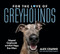 For The Love Of Greyhounds