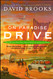 On Paradise Drive: How We Live Now