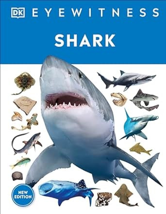 Eyewitness Shark: Dive into the fascinating world of sharks