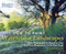 How to Paint Watercolor Landscapes