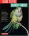 A Guide to the Quaker Parrot