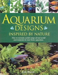 Aquarium Designs