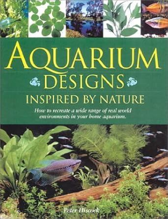 Aquarium Designs