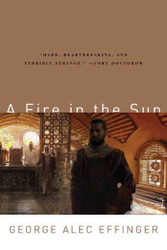 A Fire in the Sun