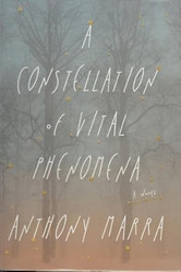 A Constellation of Vital Phenomena