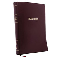 KJV Holy Bible