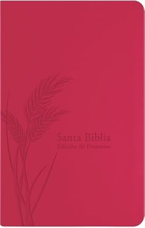 Spanish Promise Bible RVR60 Biblia de Promesas Reina Valera 1960