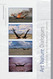 Art Nature Dialogues