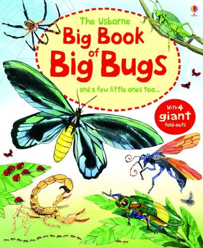 Big Book Of Big Bugs
