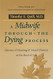 A Midwife through the Dying Process