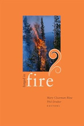 Forged in Fire