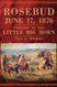 Rosebud June 17 1876