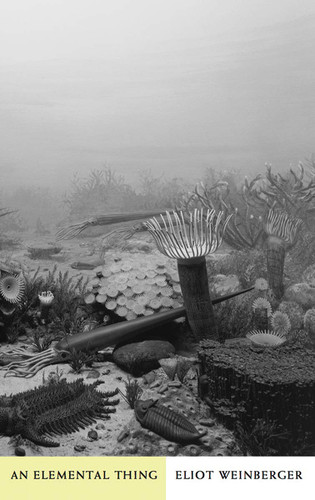 An Elemental Thing An Elemental Thing