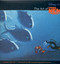 The Art of Finding Nemo