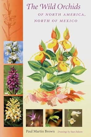 The Wild Orchids of North America North of Mexico