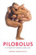 Pilobolus