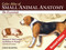 Color Atlas of Small Animal Anatomy