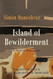 Island of Bewilderment: A Novel of Modern Iran