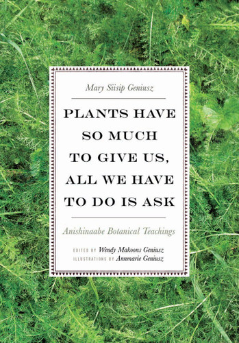 Plants Have So Much to Give Us All We Have to Do Is Ask Plants Have So Much to Give Us All We Have to Do Is Ask