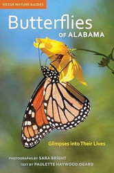 Butterflies of Alabama: Glimpses into Their Lives