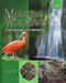Mirrors & Windows