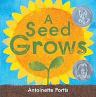 A Seed Grows