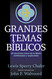 Grandes temas biblicos