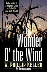 Wonder O the Wind
