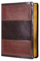 RVR60 Biblia de Estudio de la vida plena Leathersoft