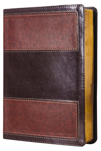 RVR60 Biblia de Estudio de la vida plena Leathersoft