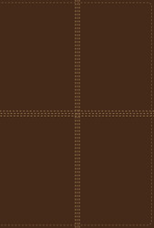 NIV/RVR60 Bilingual Bible Leathersoft Brown