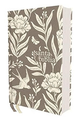 NVI Santa Biblia Revision 2022 Tamano Compacto Tapa