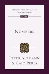 Numbers: An Introduction and Commentary