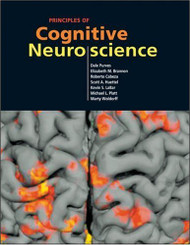 Principles Of Cognitive Neuroscience