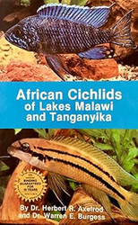 African Cichlids of Lakes Malawi and Tanganyika