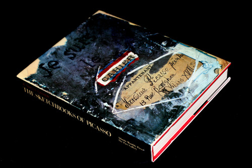 The Sketchbooks of Picasso