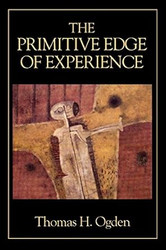 The Primitive Edge of Experience