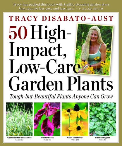 50 High-Impact Low-Care Garden Plants