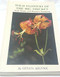 Wild Flowers of the Big Thicket